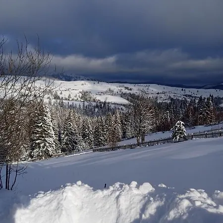 Girs'kyy Podorozhnyk Privatunterkunft Jablunyzja