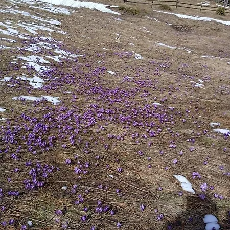 Privatunterkunft Girs'kyy Podorozhnyk *