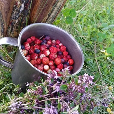 Girs'kyy Podorozhnyk Privatunterkunft Jablunyzja