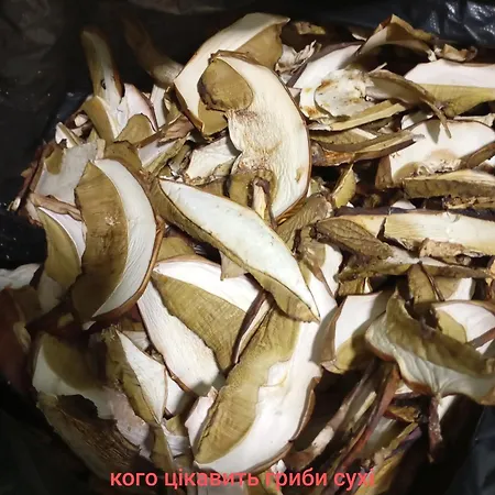 Privatunterkunft Girs'kyy Podorozhnyk