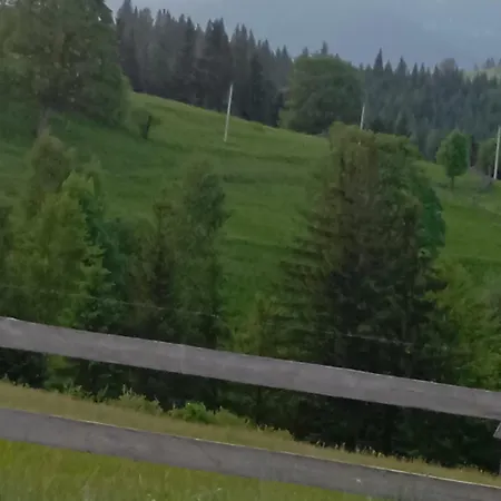 Girs'kyy Podorozhnyk * Jablunyzja