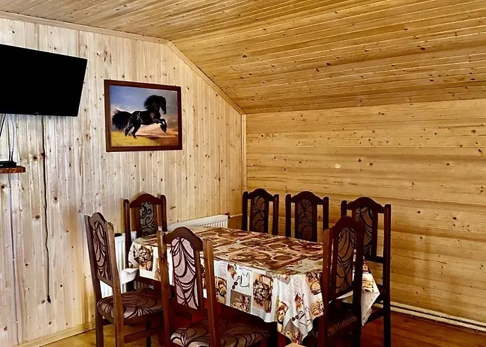 Girs'kyy Podorozhnyk Accommodatie bij particulieren